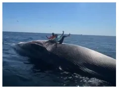 Outrage Ignites Over Fishermen