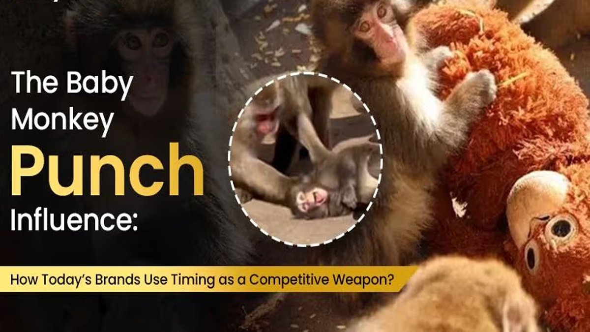 Punch Monkey "Punch Monkey