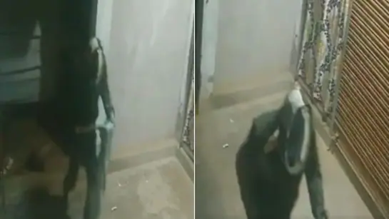 Thief’s Attempt to Cover